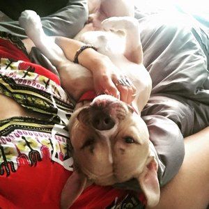 Meet your Posher, Alexis